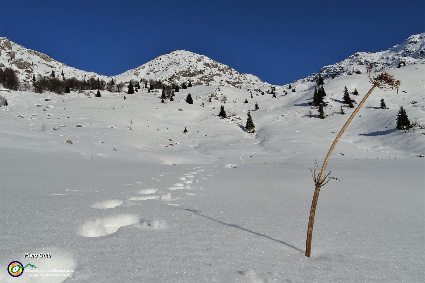 31 Sono rimasto solo disperso sulla neve....JPG